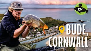 The Ultimate Canal Carp Location?