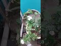 Muitas bênçãos em sua vida!!