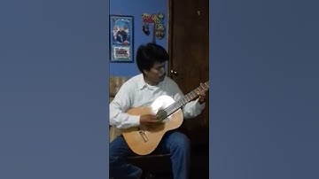 Thumbnail of Requinto! Palomas que andan volando