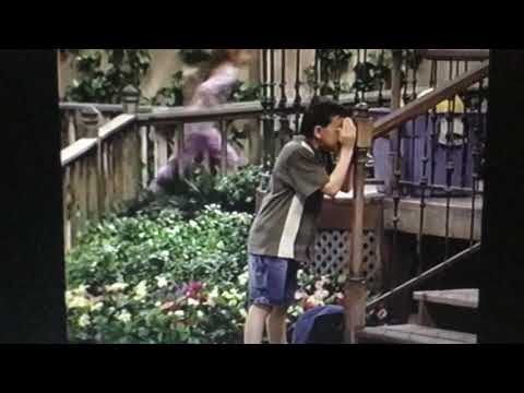 Mario Beth Whitney and Barney play hide and seek