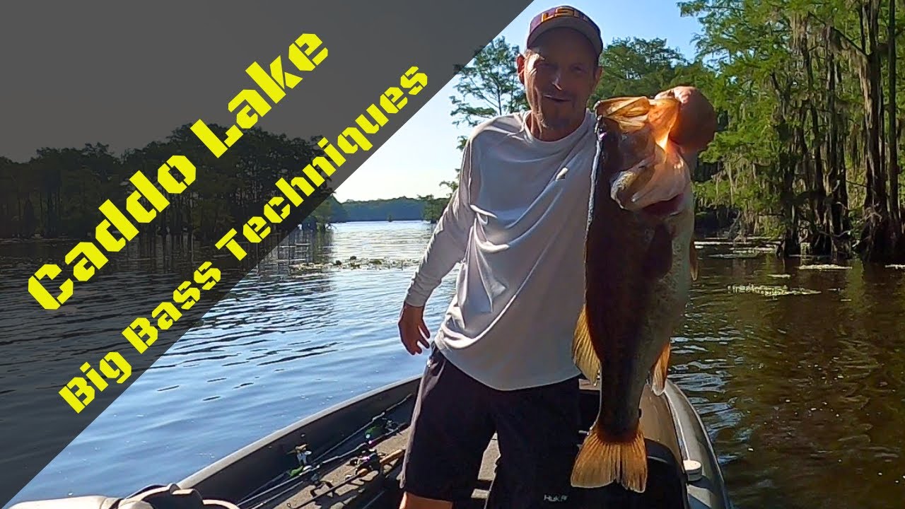 Caddo Lake Big Bass Techniques