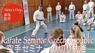 Karate Seminar in Czech Republic 11 2022   Tekki Shodan : 空手セミナーの切り抜き 鉄騎初段  【Akita&#39;s Karate Video】