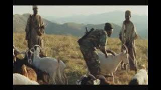 Blood Diamond - Smuggling Scene