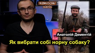 Як вибрати собі норну собаку?