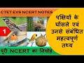 CTET EVS NCERT NOTES || पक्षियों के घोंसले एवं उनसे संबंधित महत्वपूर्ण तथ्य ||  पूरी NCERT का निचोड़