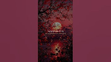 وإذا سألك عبادي عني فإني قريب | تلاوة مؤثرة تهز القلب #خشوع #اكسبلور #حالات_واتس #قرآن_كريم #duet