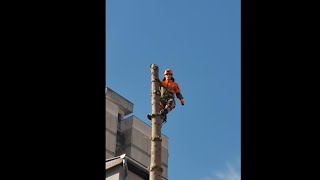 Alpinističko Rušenje Smreke