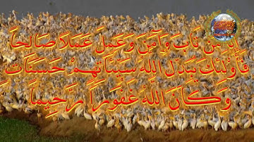 تلاوة خاشعة ومؤثرة وفريدة للشيخ ادريس ابكر  روعة ؟؟