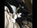 あなたのおかげです