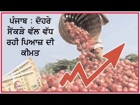 Punjab : Onion Prices going up towards 200 rupees per Kg.