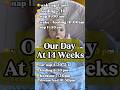 3 month old | day in the life at 3 months | baby schedule