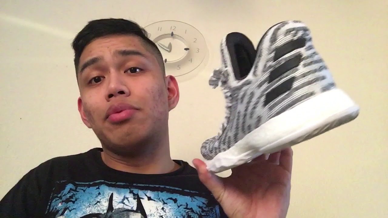 harden vol 1 zebra