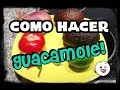 Como Hacer Guacamole/Como Hacer Guacamole Casero/De Mi Huerto Al Plato/Mi huerto en el balcón