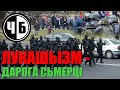 ЛУКАШЫЗМ - ДАРОГА СЬМЕРЦІ (ч/б №41)