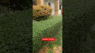 আমার একজন আল্লাহ আছে # মুফতি আনিসুর রহমান আশরাফী #sots #love #sheeesh #shelea #ashwaubenon #ishe #