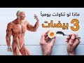 ماذا يحدث لك اذا تناوت 3 بيضات يوميا النتيجة مفاجأة