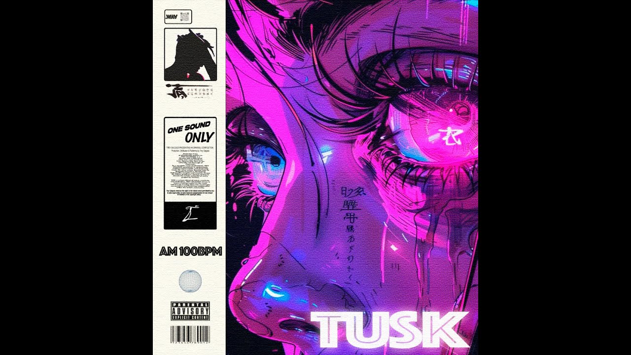 BEAT | Disco Pop Type Beat | Dua Lipa X Chromeo Type Beat ("Tusk") 2025 🐍🪽