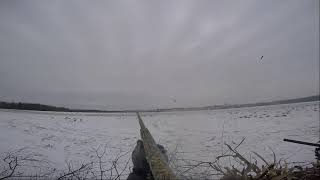 Canada Goose hunt Northen Illinois clip 1