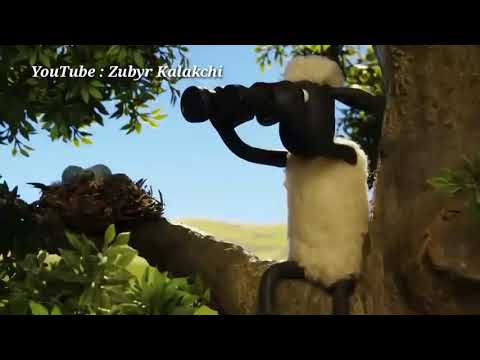 Film Cartooni Shwani Marakan Ba Kurdi 