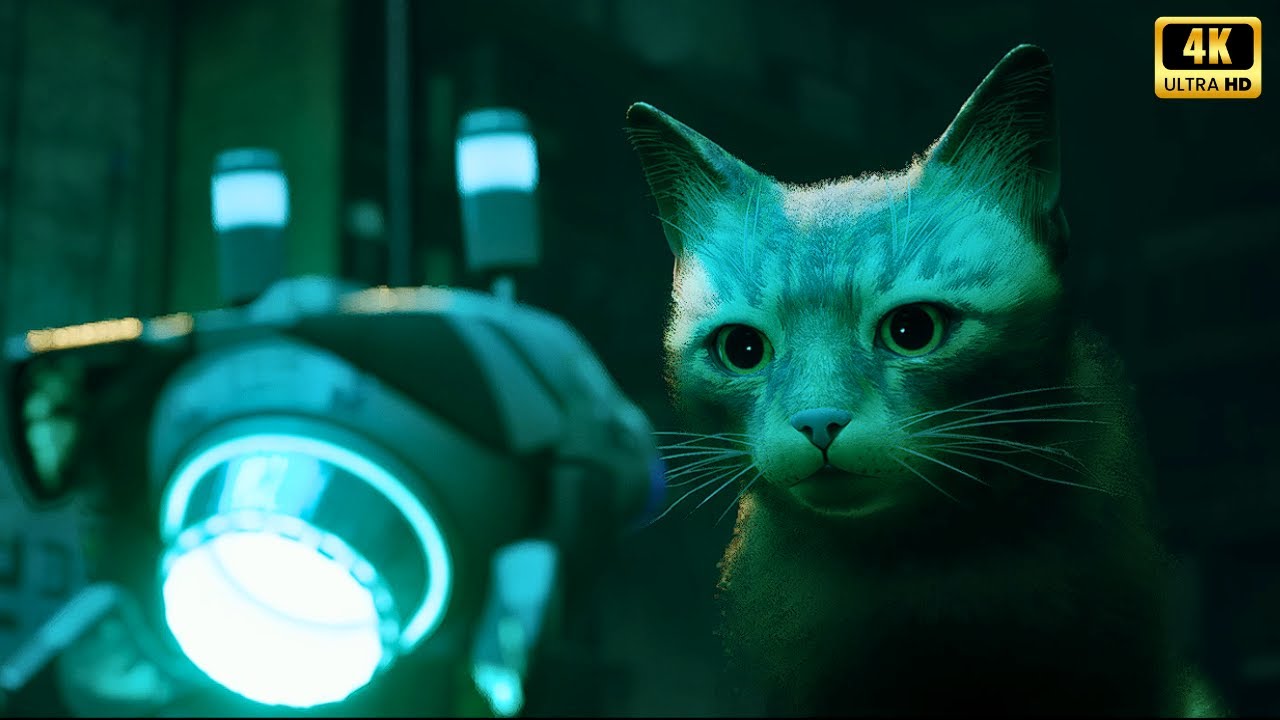 Stray : RX 6750 XT 12GB ( 4K Ultra Graphics FSR 2.0 OFF )