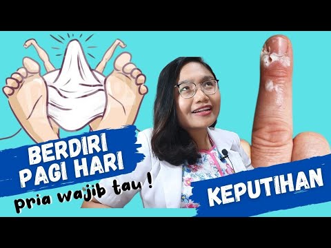 6 FAKTA PENIS YANG WAJIB PRIA KETAHUI | dr. Emasuperr