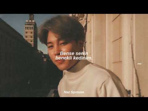 JIMIN - Serendipity ✨(Türkçe Çeviri)