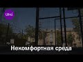 Некомфортная среда. А у нас во дворе. Новости Рубцовска.