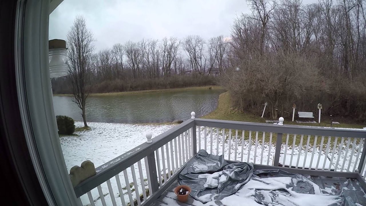 10724 Snowdrop Ln, Indianapolis, IN, 46235