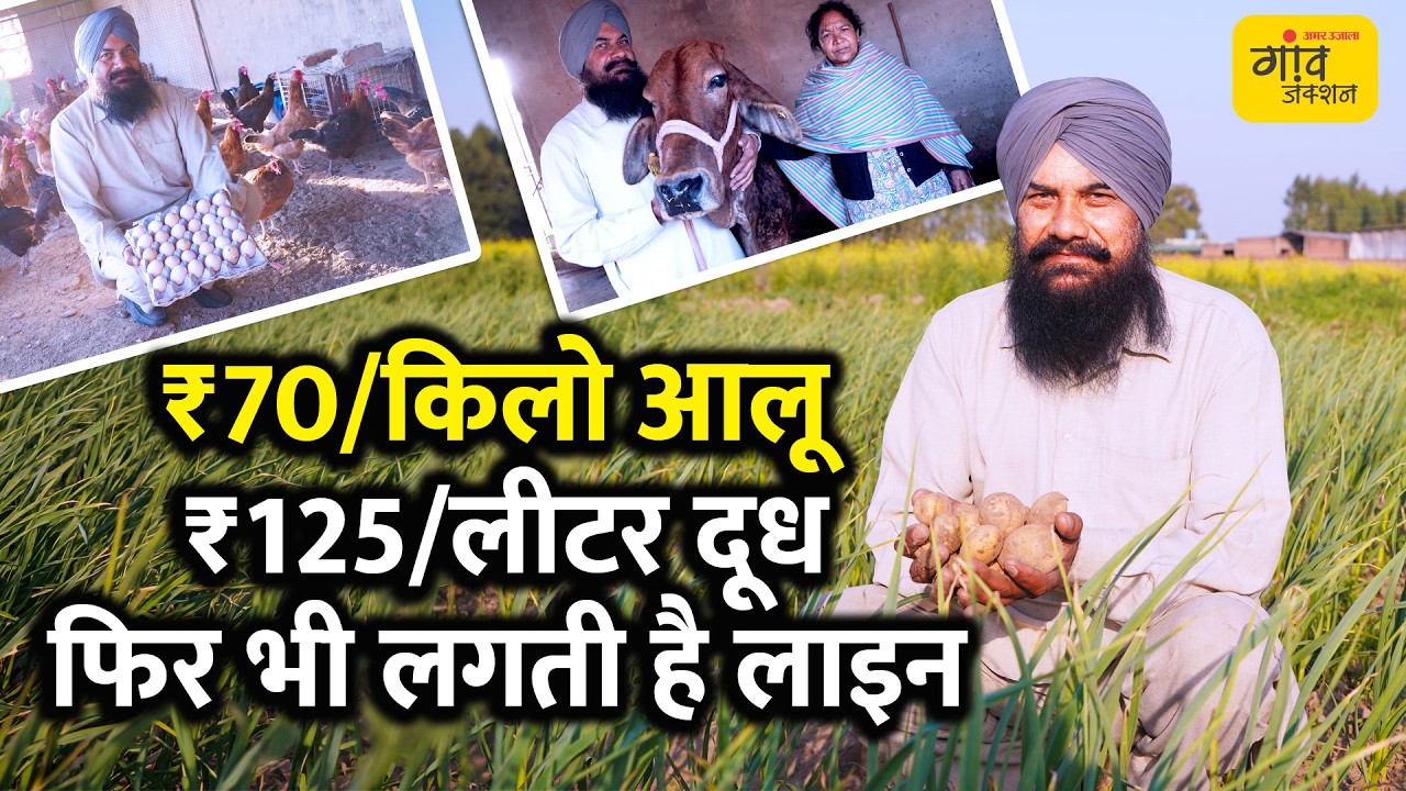 रसायनिक खेती छोड़ी, अब खरीदार लगाते हैं लाइन! जानें 4.5 एकड़ का सक्सेस फार्मूला | Gaon Junction LIVE