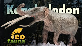 2022 Eofauna Konobelodon Review!!!