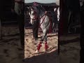 اعشقيني واملكيني واتركيني هايم بعيونك الثنتين كلي بودكاست جزل شعر اعشقيني واملكيني واتركيني هايم بعيونك الثنتين كلي بودكاست جزل شعر
