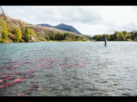 Fishing Alaska's Kenai Peninsula - AC Fly Fishing Hosted Travel