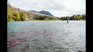 Fishing Alaska s Kenai Peninsula - AC Fly Fishing Hosted Travel