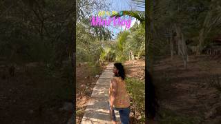 Chutti Ka Din 🌿 | Weekend day spent with Nature, Mango Trees #shorts #viral #trending #trending