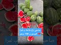 مابقا مايعجب باع دلاحة لمرا كتوحم ب 150 درهم