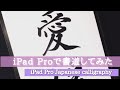 iPad Proで書道してみた Japanese calligraphy with iPad Pro