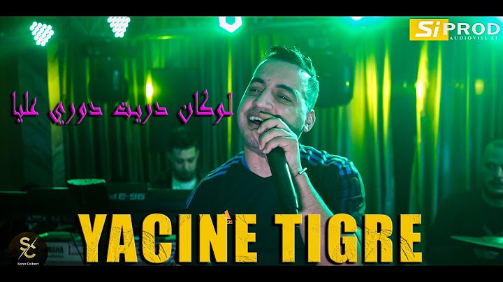Yacine Tigre Avec Nassifo 2024 khalouni nechrob -لوكان دريت دوري عليا (Exclusive Video )