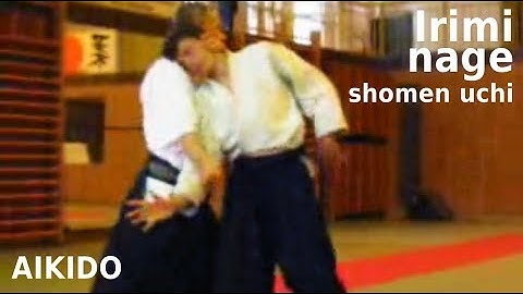 Aikido - IRIMINAGE against shomen uchi striking attack, by Stefan Stenudd in 2003