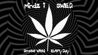 Mindz I - S.W.E.D. (Official Audio/Visual)