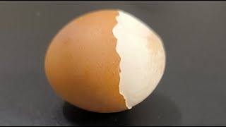 Raw Egg Peeling Asmr Writing Name Live #158