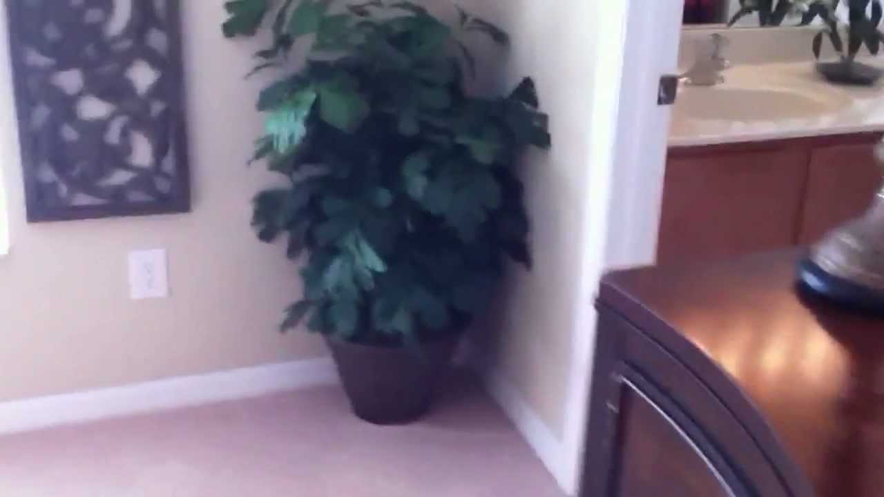 Waters Edge at Lake Nona townhouse tour YouTube