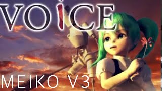 VOiCE | MEIKO V3