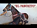 EL PANCHITO(historia de carril)