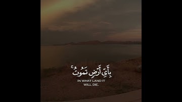 وما تدرى نفس بأى أرض تموت || احمد خضر || سورة لقمان