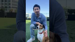 Meet Simu Liu’s Dog, Chopa