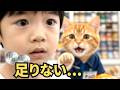お金が足りない子供に、猫店員がとった行動　What the cat clerk did when a kid didn’t have enough money
