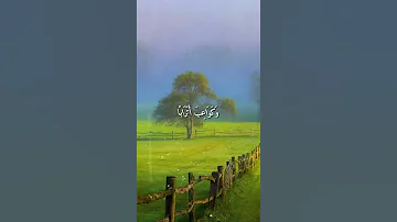 واتس اب قران كريم القارئ ماهر المعيقلي من سورة النبأ 