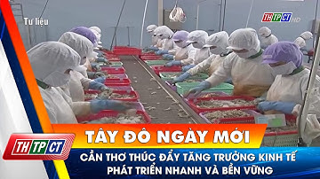 Cần Thơ thúc đẩy tăng trưởng kinh tế phát triển nhanh và bền vững | Cần Thơ TV