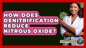 How Does Denitrification Reduce Nitrous Oxide? - Earth Science Answers