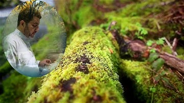 أذكار الصباح للشيخ أشرف درويش